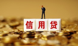 成都金牛区哪里可以民间借贷-成都金牛区私人借钱当天拿钱-成都金牛区贷款联系电话
