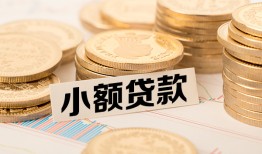 成都金牛区哪里有小额贷款-成都金牛区身份证贷款平台-成都金牛区民间短借